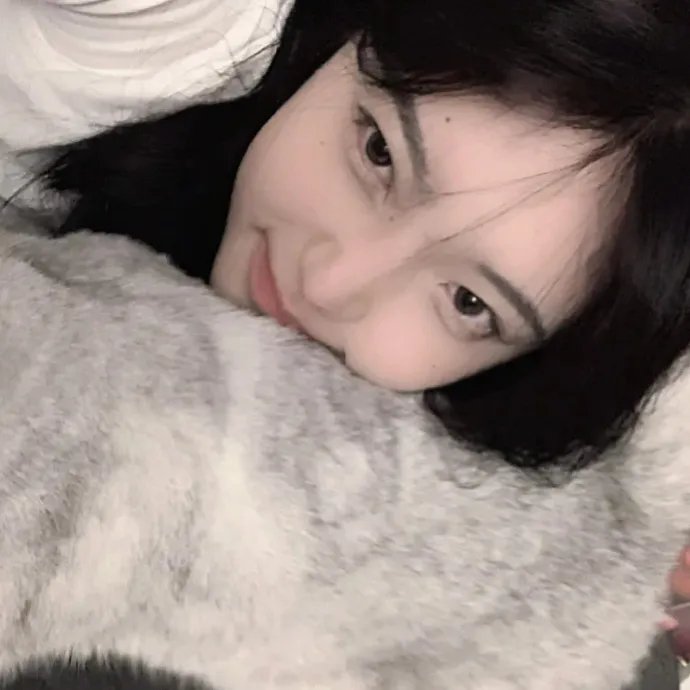 五十公里桃花坞第二季